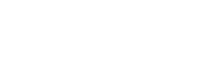 CHILEXPRESS_LOGO